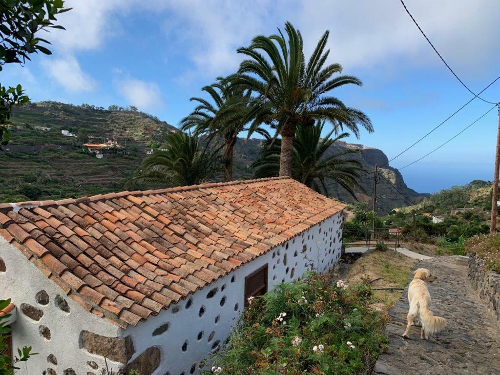 Agulo Casa Rural Emilia 빌라 외부 사진